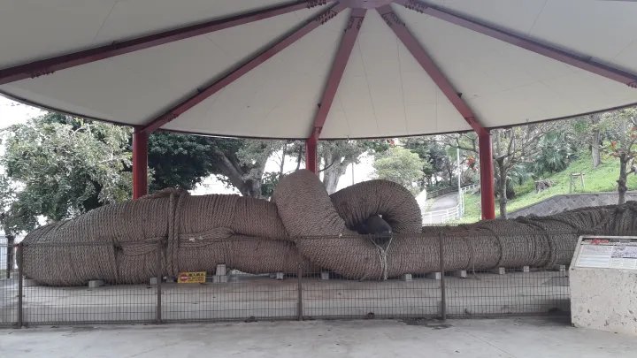 🌳 희망 언덕 공원(키보가오카 코엔) 이미지 5